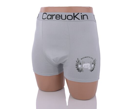 Труси чоловічі A5622 mix р.XL-3XL "Textile" недорого оптом від прямого постачальника, зображення 2