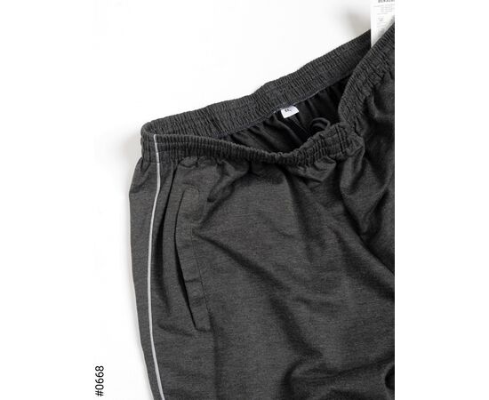 Штани спортивні чоловічі 0668 mix р.4XL-9XL "Seven Group" недорого оптом від прямого постачальника, зображення 2 Штани спортивні чоловічі 0668 mix р.4XL-9XL "Seven Group" недорого оптом від прямого постачальника, зображення 2