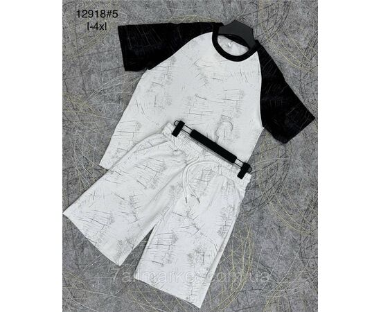 Фотография Спортивный костюм мужской с шортами р-ры L-4XL (3цв) "PROSTOMEN" недорого от прямого поставщика, изображение 2