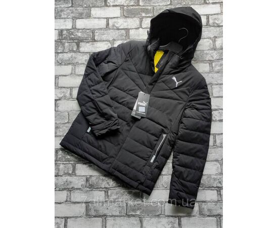 Фотография Куртка мужская демисезонная, puma размеры 48-56 (3цв) "SPORT" недорого от прямого поставщика, изображение 3