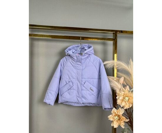 Куртка дитяча демісезонна на дівчинку 6659 lilac р.110-134 "Delfinka" недорого оптом від прямого постачальника Куртка дитяча демісезонна на дівчинку 6659 lilac р.110-134 "Delfinka" недорого оптом від прямого постачальника