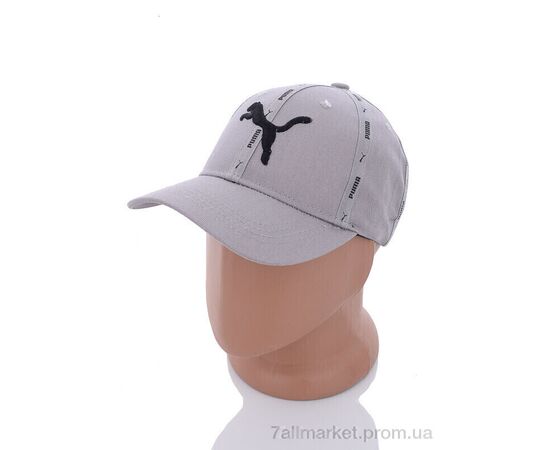 Фотография Кепка для мужчин Весна/осень 2012-2 grey (5 шт. р.сетка 57-59) "KUINH" недорого оптом от прямого поставщика, изображение 2