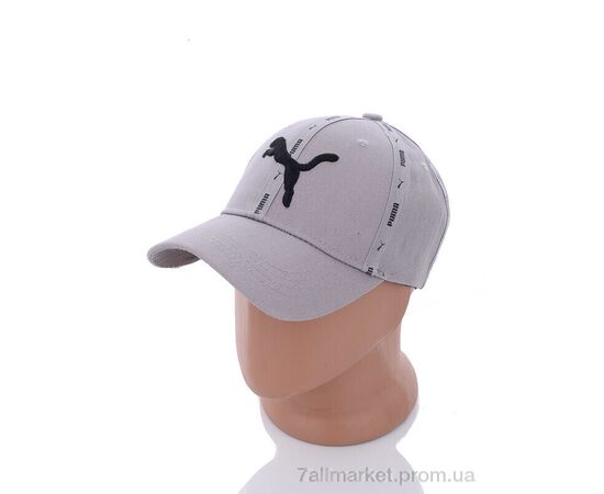 Фотография Кепка для мужчин Весна/осень PM018-4 grey (5 шт. р.сетка 57-59) "KUINH" недорого оптом от прямого поставщика, изображение 2