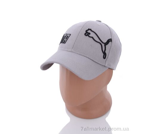 Фотография Кепка для мужчин Весна/осень PM019-1 grey (5 шт. р.сетка 57-59) "KUINH" недорого оптом от прямого поставщика, изображение 2