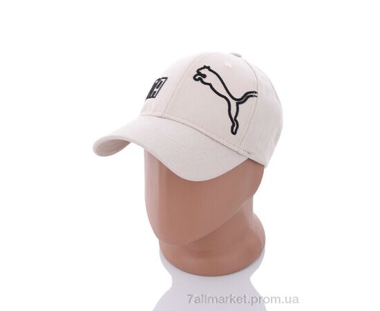 Фотография Кепка для мужчин Весна/осень PM019-2 beige (5 шт. р.сетка 57-59) "KUINH" недорого оптом от прямого поставщика, изображение 2