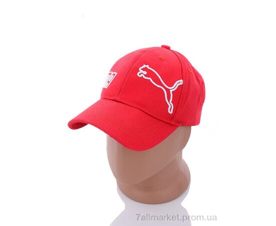 Фотография Кепка для мужчин Весна/осень PM019-3 red (5 шт. р.сетка 57-59) "KUINH" недорого оптом от прямого поставщика, изображение 2