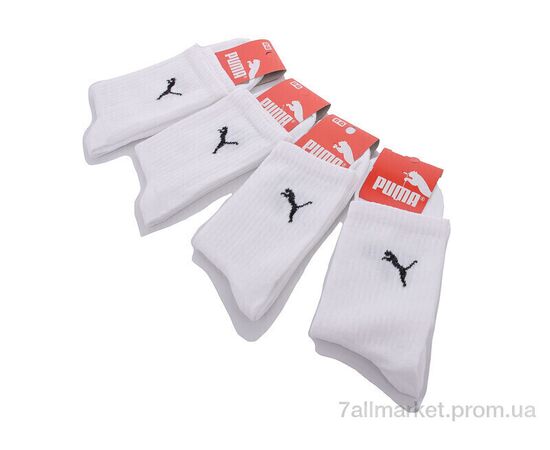 Носки для мужчин Весна/осень 1052Pu білі (12 шт. р.сетка 41-45) "Textile" недорого оптом от прямого поставщика, изображение 2 Фотография Носки для мужчин Весна/осень 1052Pu білі (12 шт. р.сетка 41-45) "Textile" недорого оптом от прямого поставщика, изображение 2