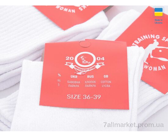 Фотография Носки женские Весна/осень 1037 білий (12 шт. р.сетка 36-39) "Textile" недорого оптом от прямого поставщика, изображение 2