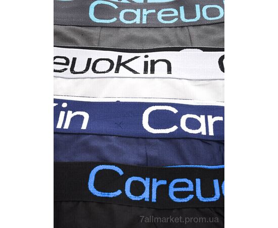 Фотография Трусы Весна/осень A5650 mix (12 шт. р.сетка XL-3XL) "Textile" недорого оптом от прямого поставщика, изображение 4