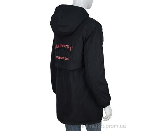 Куртка женская Весна/осень 19050 black (06898) (6 шт. р.сетка M-3XL) "Obuvok" недорого оптом от прямого поставщика, изображение 2 Фотография Куртка женская Весна/осень 19050 black (06898) (6 шт. р.сетка M-3XL) "Obuvok" недорого оптом от прямого поставщика, изображение 2