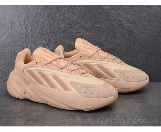 Кросівки жіночі модні Весна/осінь B202-13 (8 пар р.36-41) "Olimp" недорого оптом від прямого постачальника, зображення 3