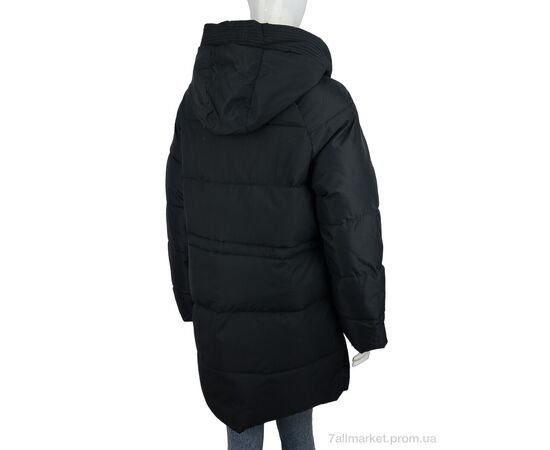 Куртка женская Весна/осень 8093 black (4 шт. р.сетка M-2XL) "Hope" недорого оптом от прямого поставщика, изображение 2 Фотография Куртка женская Весна/осень 8093 black (4 шт. р.сетка M-2XL) "Hope" недорого оптом от прямого поставщика, изображение 2
