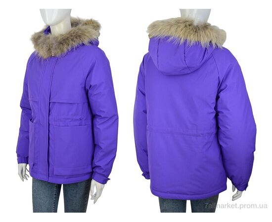 Куртка женская Зима 952 violet (4 шт. р.сетка S-XL) "Hope" недорого оптом от прямого поставщика, изображение 3 Фотография Куртка женская Зима 952 violet (4 шт. р.сетка S-XL) "Hope" недорого оптом от прямого поставщика, изображение 3