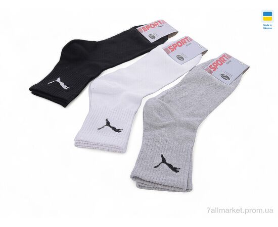 Шкарпетки для чоловіків Весна/осінь T16 mix (12 шт. р.сітка41-47) "Textile" недорого оптом від прямого постачальника, зображення 2 Шкарпетки для чоловіків Весна/осінь T16 mix (12 шт. р.сітка41-47) "Textile" недорого оптом від прямого постачальника, зображення 2