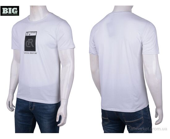 Футболка чоловіча Літо 6107 white (6 шт. р.сіткаM-3XL) "BIG" недорого оптом від прямого постачальника, зображення 3