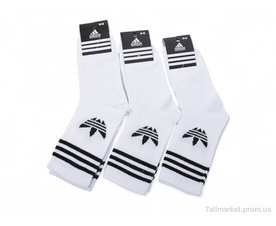 Фотография Носки женские Весна/осень T94 white (12 шт. р.сетка 36-40) "Textile" недорого оптом от прямого поставщика, изображение 2