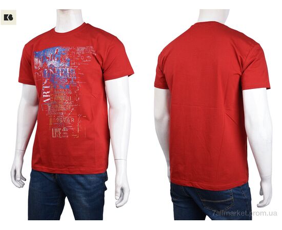 Футболка чоловіча Літо 3707-0057-1 red (4 шт. р.сіткаM-2XL) "BIG" недорого оптом від прямого постачальника, зображення 3