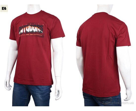 Футболка чоловіча Літо 3707-124-2 bordo (4 шт. р.сіткаM-2XL) "BIG" недорого оптом від прямого постачальника, зображення 3