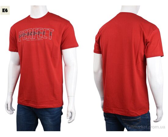 Футболка чоловіча Літо 3707-068-2 red (4 шт. р.сіткаM-2XL) "BIG" недорого оптом від прямого постачальника, зображення 3