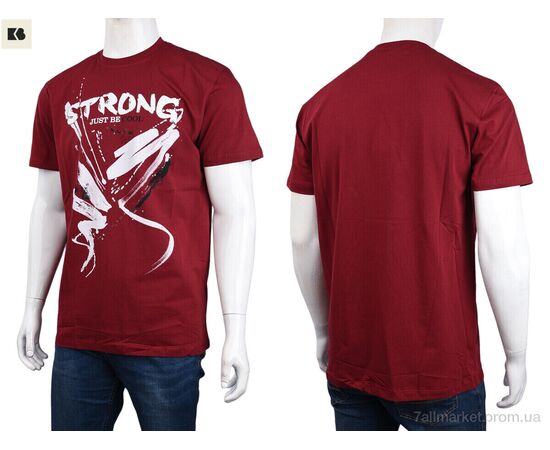 Футболка чоловіча Літо 3707-122-2 bordo (4 шт. р.сіткаM-2XL) "BIG" недорого оптом від прямого постачальника, зображення 3