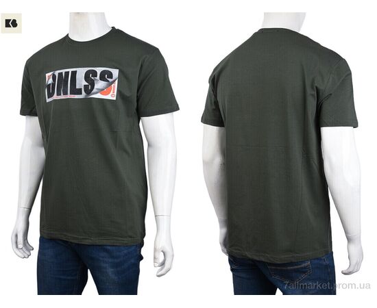 Футболка чоловіча Літо 3707-3004 green (4 шт. р.сіткаM-2XL) "BIG" недорого оптом від прямого постачальника, зображення 3