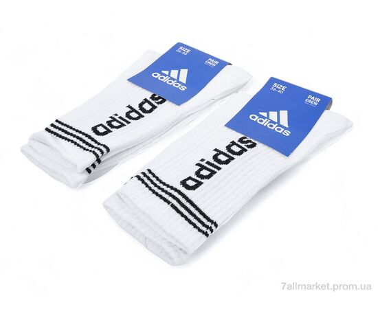 Фотография Носки женские Весна/осень T144 white (12 шт. р.сетка 36-40) "Textile" недорого оптом от прямого поставщика, изображение 2