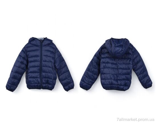Фотография Куртка детская Весна/осень 3791-3 navy (5 шт. р.сетка 110-150) "Мир" недорого оптом от прямого поставщика, изображение 3