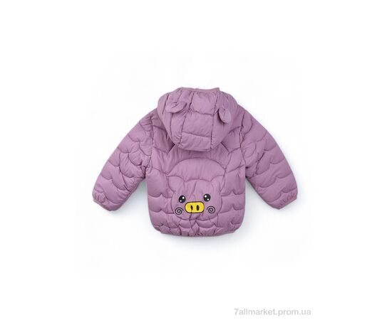 Фотография Куртка детская Весна/осень 3791-6 violet (5 шт. р.сетка 80-120) "Мир" недорого оптом от прямого поставщика, изображение 2