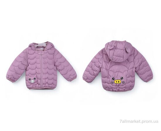 Фотография Куртка детская Весна/осень 3791-6 violet (5 шт. р.сетка 80-120) "Мир" недорого оптом от прямого поставщика, изображение 3