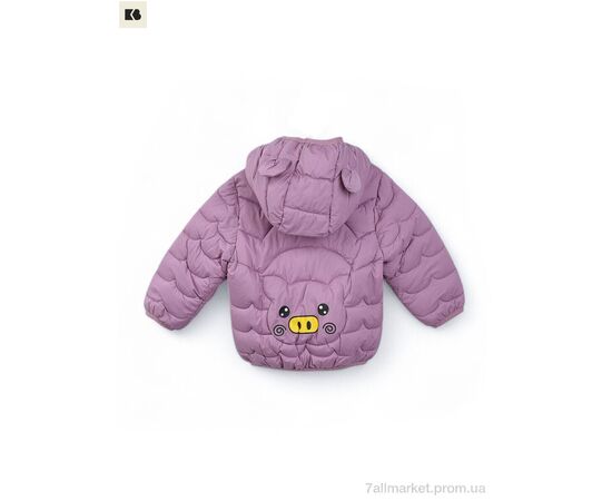 Фотография Куртка детская Весна/осень 3791-6 violet (5 шт. р.сетка 80-120) "BIG" недорого оптом от прямого поставщика, изображение 2