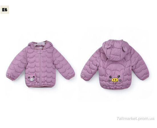 Фотография Куртка детская Весна/осень 3791-6 violet (5 шт. р.сетка 80-120) "BIG" недорого оптом от прямого поставщика, изображение 3