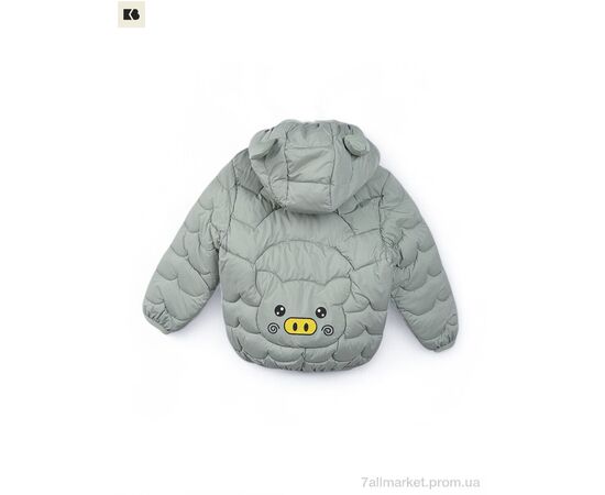 Фотография Куртка детская Весна/осень 3791-8 green (5 шт. р.сетка 80-120) "BIG" недорого оптом от прямого поставщика, изображение 2