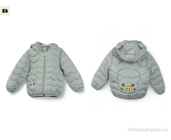 Фотография Куртка детская Весна/осень 3791-8 green (5 шт. р.сетка 80-120) "BIG" недорого оптом от прямого поставщика, изображение 3