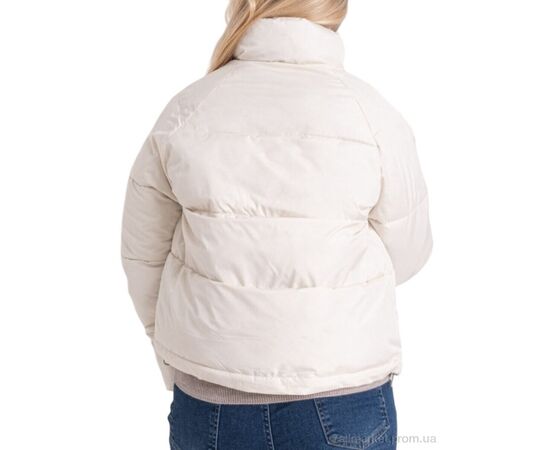 Куртка жіноча Зима B112 білий (5 шт. р.сіткаS-2XL) "Massmag" недорого оптом від прямого постачальника, зображення 3 Куртка жіноча Зима B112 білий (5 шт. р.сіткаS-2XL) "Massmag" недорого оптом від прямого постачальника, зображення 3