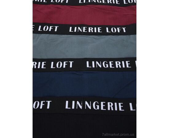 Труси Весна/осінь X1701 mix (12 шт. р.сітка3XL-6XL) "Look&Buy Clothes" недорого оптом від прямого постачальника, зображення 4 Труси Весна/осінь X1701 mix (12 шт. р.сітка3XL-6XL) "Look&Buy Clothes" недорого оптом від прямого постачальника, зображення 4