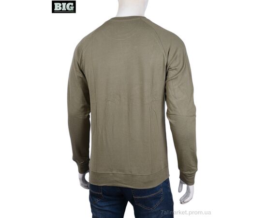 Кофта чоловіча Зима 3918-08-3 beige (5 шт. р.сіткаXL-5XL) "BIG" недорого оптом від прямого постачальника, зображення 2