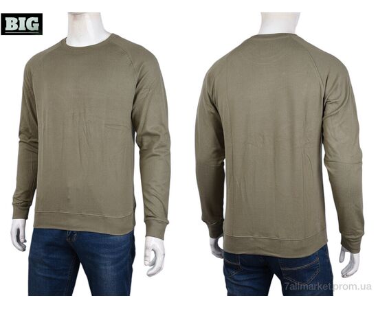 Кофта чоловіча Зима 3918-08-3 beige (5 шт. р.сіткаXL-5XL) "BIG" недорого оптом від прямого постачальника, зображення 3