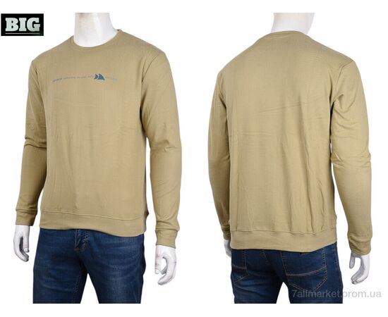 Кофта чоловіча Зима 3918-02-3 beige (5 шт. р.сіткаXL-5XL) "BIG" недорого оптом від прямого постачальника, зображення 3