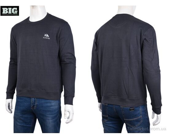 Кофта чоловіча Зима 3918-03-2 grey (5 шт. р.сіткаXL-5XL) "BIG" недорого оптом від прямого постачальника, зображення 3