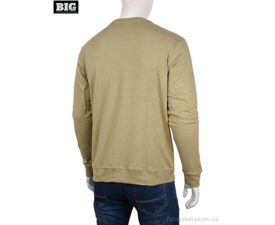 Кофта чоловіча Зима 3918-05-4 beige (5 шт. р.сіткаXL-5XL) "BIG" недорого оптом від прямого постачальника, зображення 2