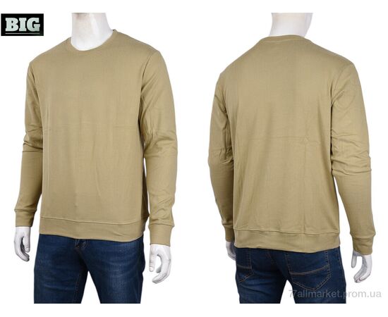 Кофта чоловіча Зима 3918-05-4 beige (5 шт. р.сіткаXL-5XL) "BIG" недорого оптом від прямого постачальника, зображення 3