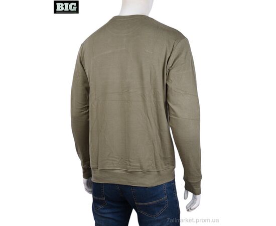 Кофта чоловіча Зима 3918-06-3 beige (5 шт. р.сіткаXL-5XL) "BIG" недорого оптом від прямого постачальника, зображення 2