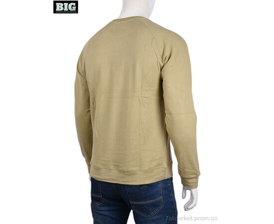Кофта чоловіча Зима 3918-07-3 beige (5 шт. р.сіткаXL-5XL) "BIG" недорого оптом від прямого постачальника, зображення 2