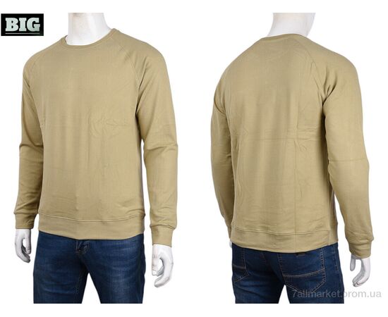 Кофта чоловіча Зима 3918-07-3 beige (5 шт. р.сіткаXL-5XL) "BIG" недорого оптом від прямого постачальника, зображення 3