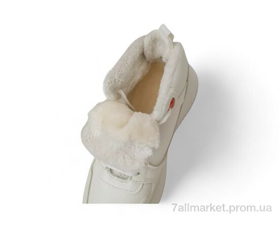 Кросівки жіночі модні Зима 248RAM09 біло-помаранчевий (8 пар р.36-41) "Massmag" недорого оптом від прямого постачальника, зображення 4 Кросівки жіночі модні Зима 248RAM09 біло-помаранчевий (8 пар р.36-41) "Massmag" недорого оптом від прямого постачальника, зображення 4