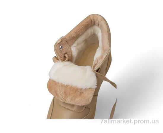 Кросівки жіночі модні Зима 248RMB03 бежевий (8 пар р.36-41) "Massmag" недорого оптом від прямого постачальника, зображення 4 Кросівки жіночі модні Зима 248RMB03 бежевий (8 пар р.36-41) "Massmag" недорого оптом від прямого постачальника, зображення 4