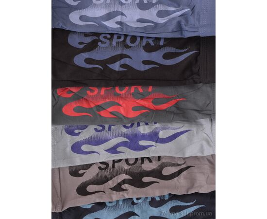 Труси Весна/осінь K806 mix (24 шт. р.сіткаXL-4XL) "Textile" недорого оптом від прямого постачальника, зображення 4 Труси Весна/осінь K806 mix (24 шт. р.сіткаXL-4XL) "Textile" недорого оптом від прямого постачальника, зображення 4