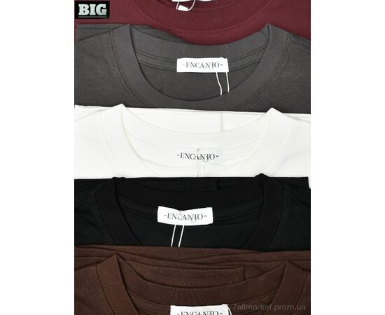 Футболка жіноча Літо 4064-2773 mix (5 шт. р.сіткаOne size) "BIG" недорого оптом від прямого постачальника, зображення 4 Футболка жіноча Літо 4064-2773 mix (5 шт. р.сіткаOne size) "BIG" недорого оптом від прямого постачальника, зображення 4