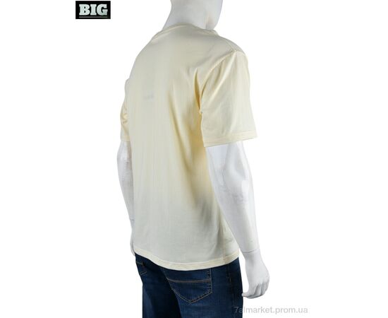 Футболка чоловіча Літо 4072-M01-4 yellow (5 шт. р.сіткаM-3XL) "BIG" недорого оптом від прямого постачальника, зображення 2