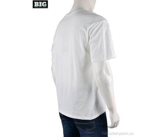 Футболка чоловіча Літо 4072-M02-2 white (5 шт. р.сіткаM-3XL) "BIG" недорого оптом від прямого постачальника, зображення 2